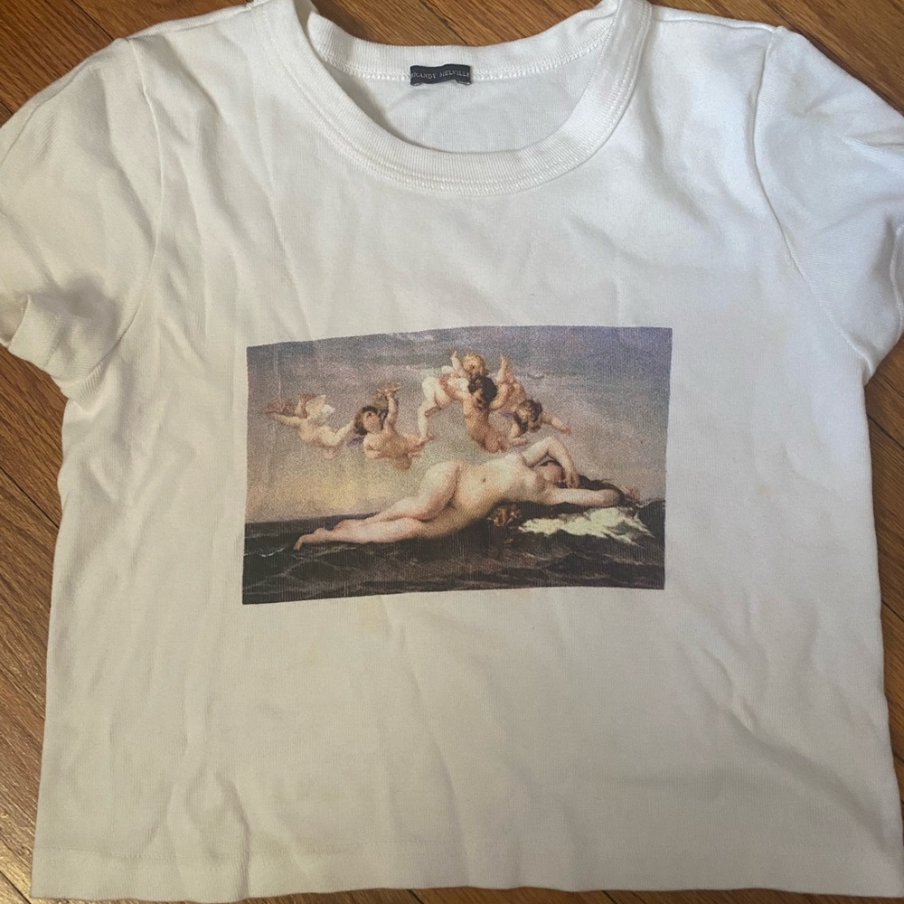 Brandy renaissance portrait crop top